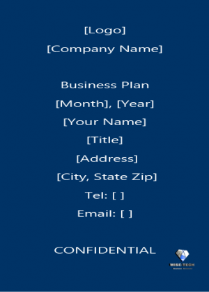 Comprehensive Business Plan